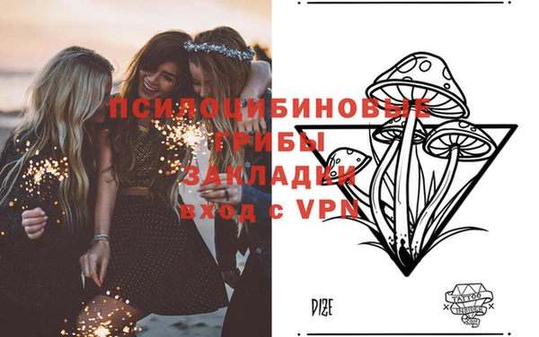ALPHA-PVP Армянск