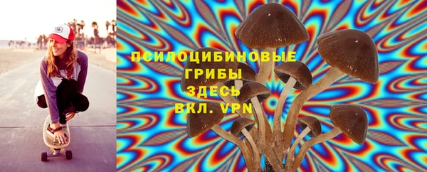 ALPHA-PVP Армянск