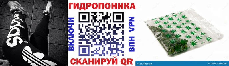 цена   Любань  Марихуана гибрид 